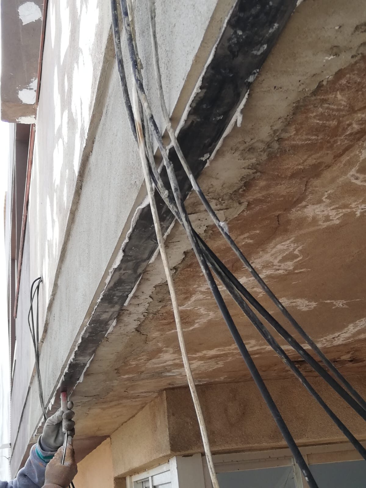 WhatsApp Image 2022-04-11 at 3.56.09 PM